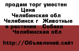 продам торг уместен › Цена ­ 15-25 - Челябинская обл., Челябинск г. Животные и растения » Собаки   . Челябинская обл.